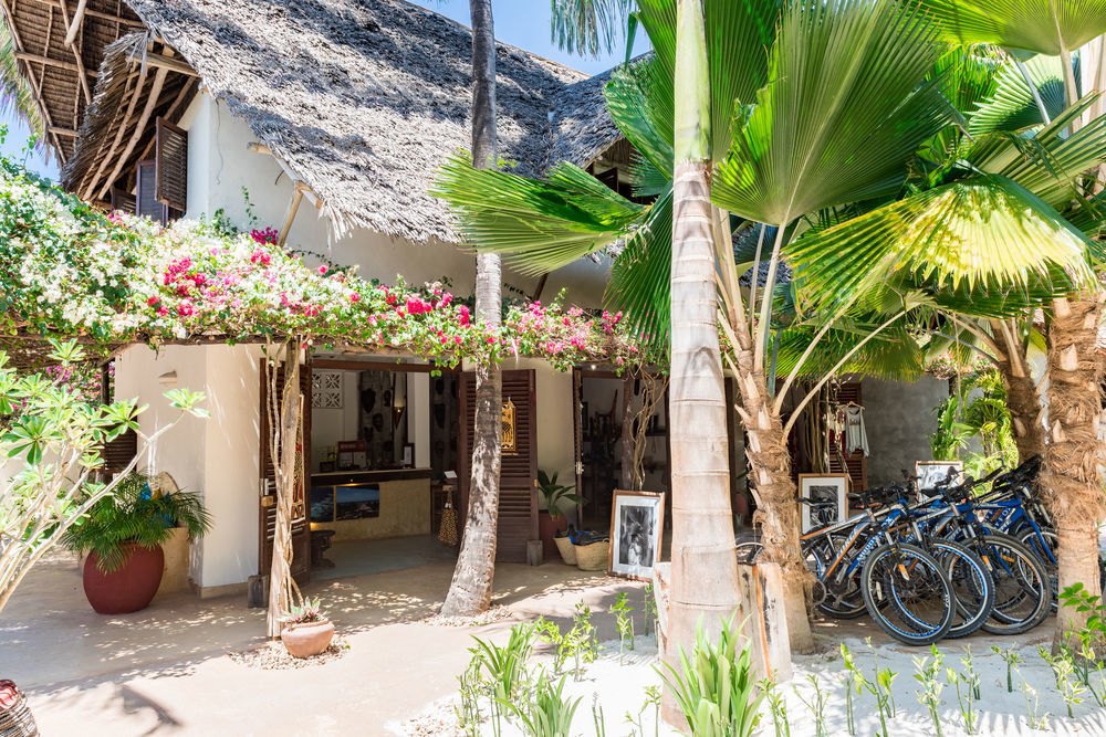 Zoi Beach House Matemwe  Eksteriør billede